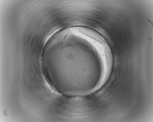 X0000102310806200808152040