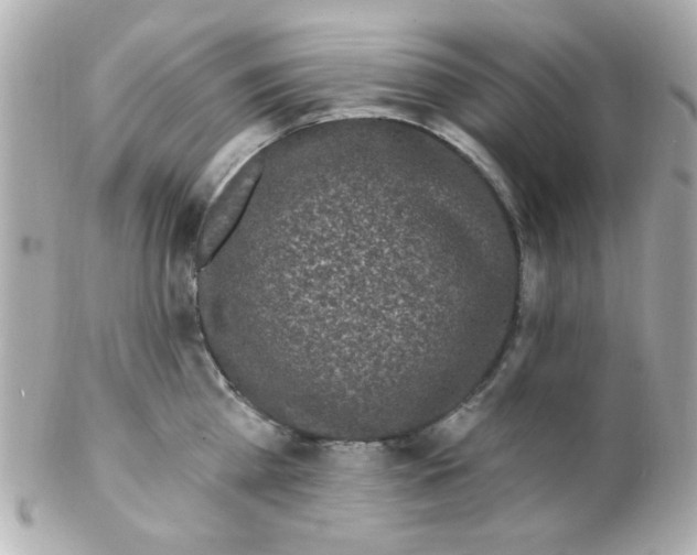 X0000102310809200808152040