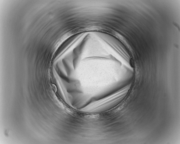 X0000102310810200808152040