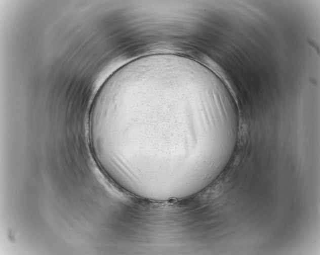 X0000102310811200808152040