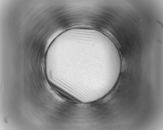 X0000102310812200808152040
