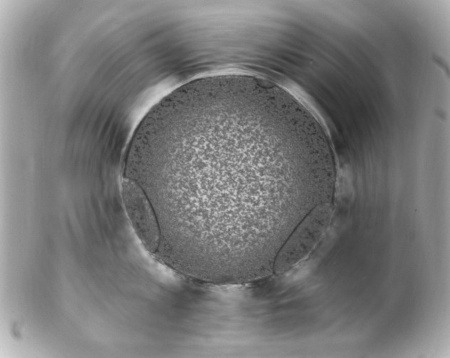 X0000102310813200808152039