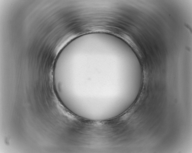 X0000102310814200808152039