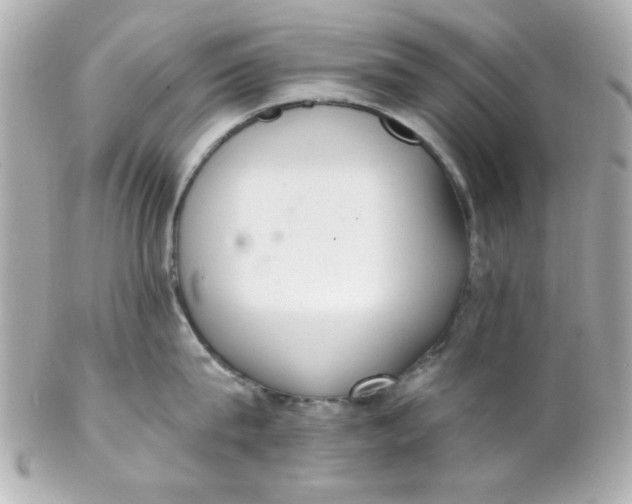 X0000102310815200808152039
