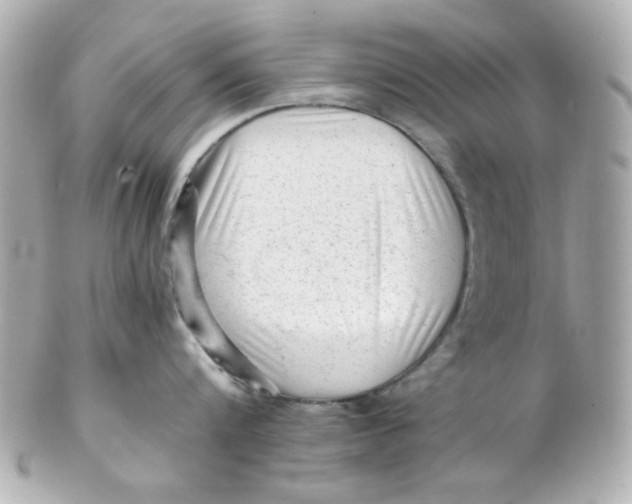 X0000102310816200808152039