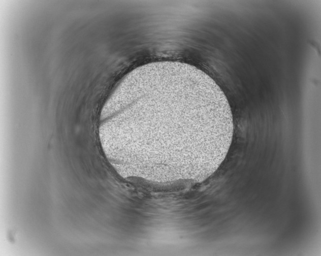 X0000102310817200808152039