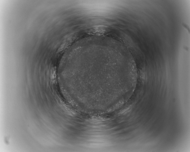 X0000102310818200808152039