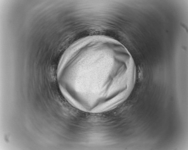 X0000102310819200808152039
