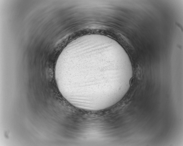 X0000102310821200808152039