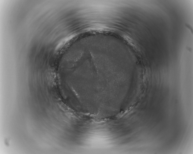 X0000102310822200808152039