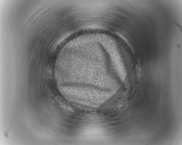 X0000102310823200808152039