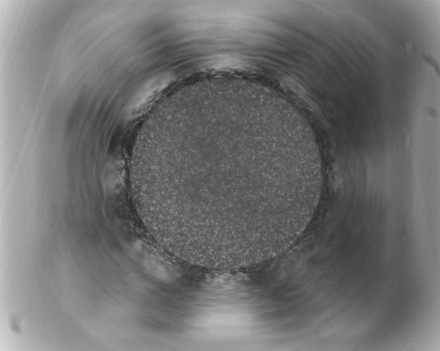 X0000102310824200808152039