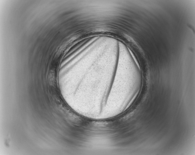 X0000102310825200808152039