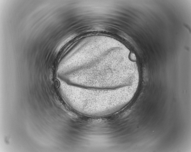 X0000102310826200808152039