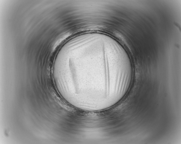 X0000102310827200808152039