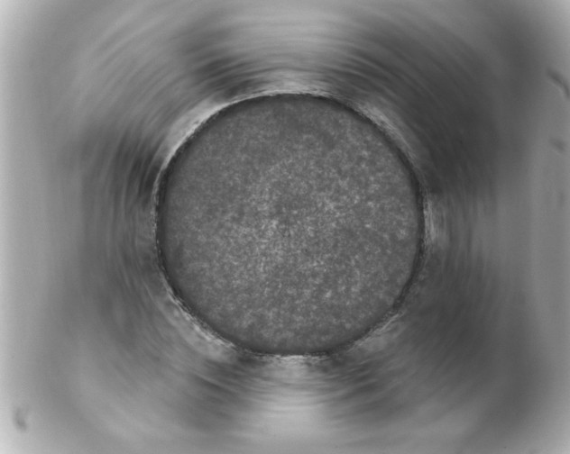 X0000102310828200808152039