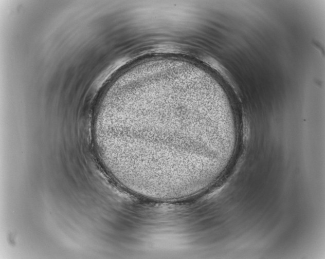 X0000102310829200808152039