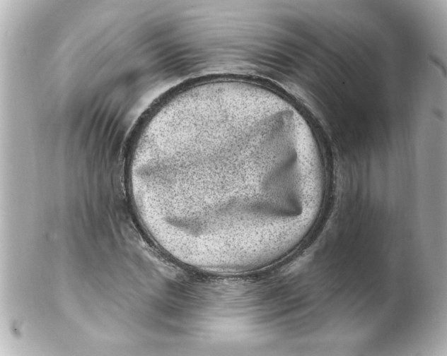 X0000102310830200808152039