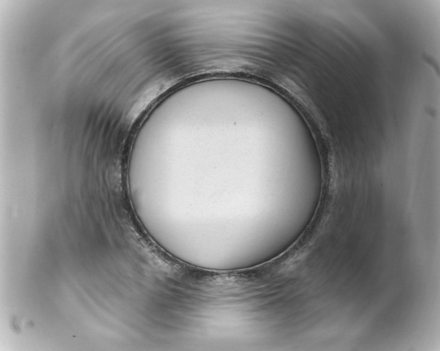 X0000102310834200808152039