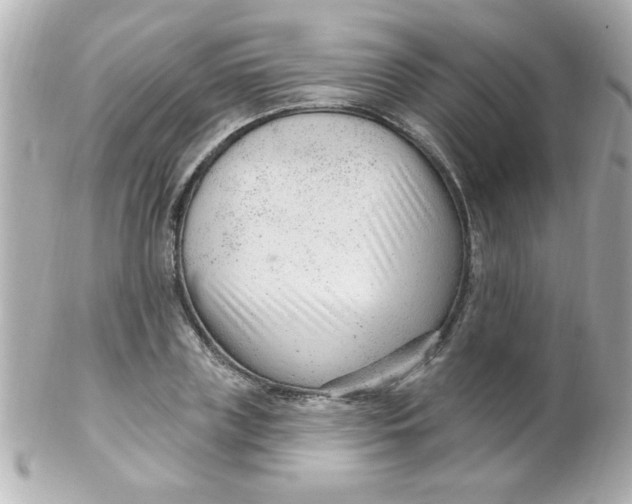 X0000102310835200808152039