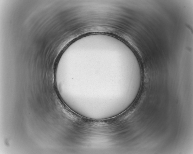 X0000102310837200808152039