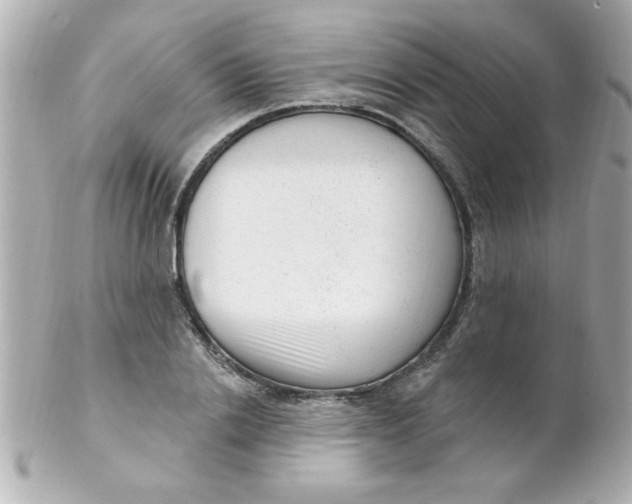 X0000102310838200808152039