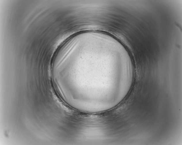 X0000102310839200808152039
