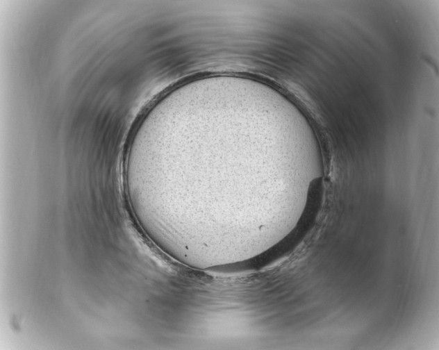 X0000102310840200808152039