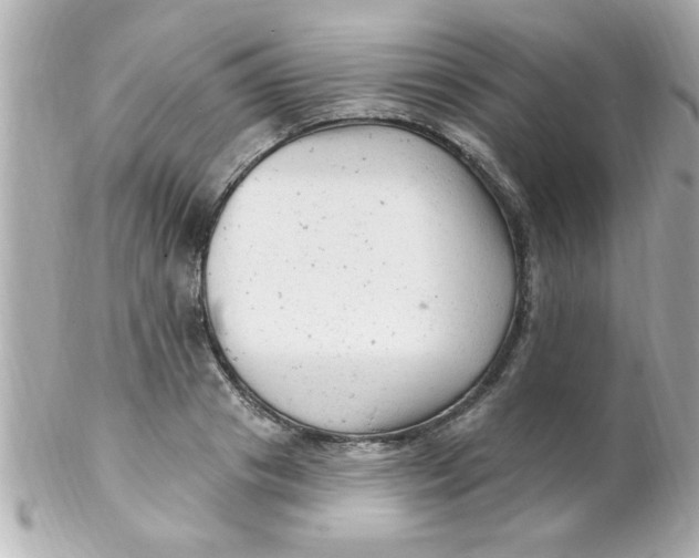X0000102310841200808152039