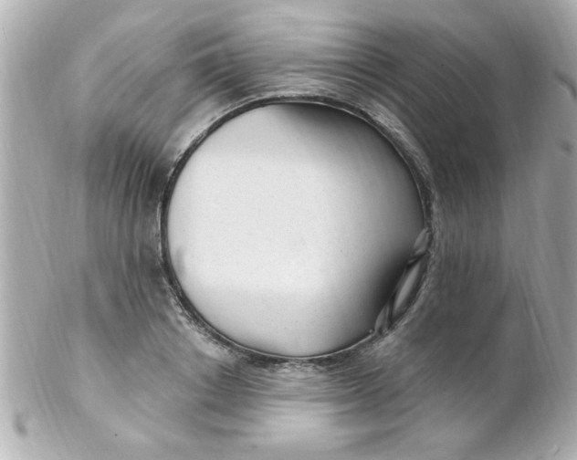 X0000102310842200808152039