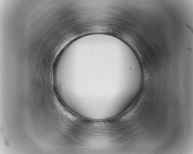 X0000102310843200808152039