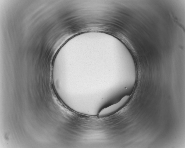 X0000102310844200808152039