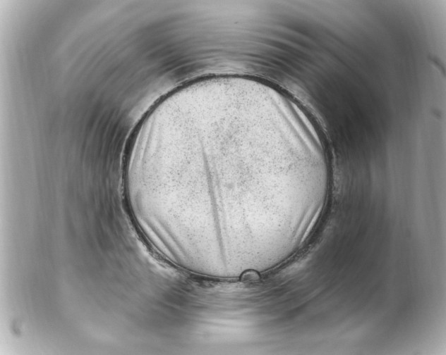 X0000102310845200808152039
