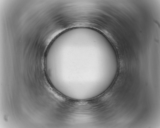 X0000102310846200808152039