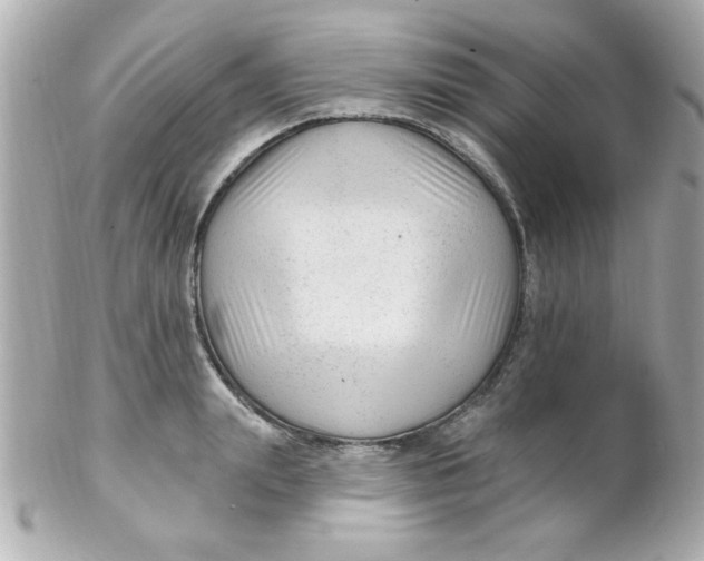 X0000102310847200808152039