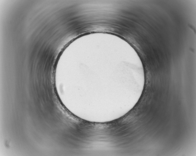 X0000102310848200808152039