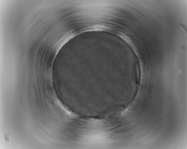 X0000102310850200808152039