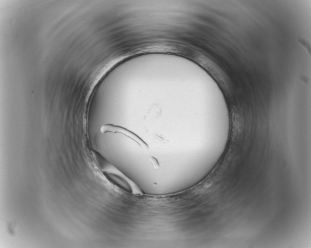 X0000102310852200808152039