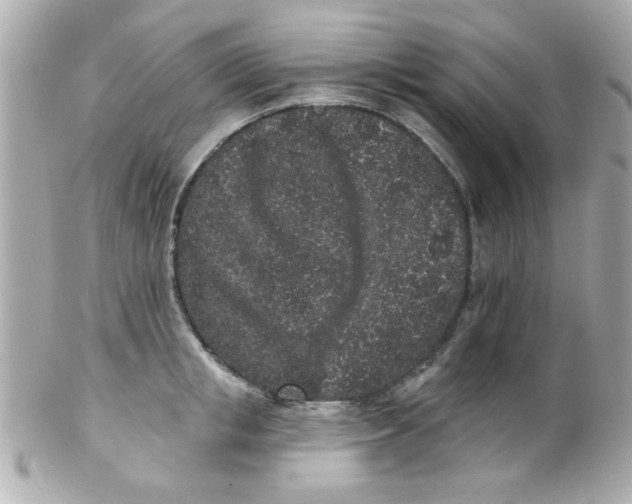 X0000102310853200808152039