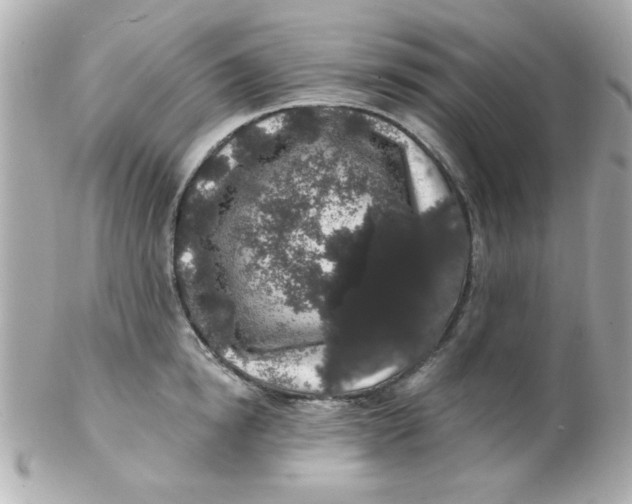 X0000102310854200808152039