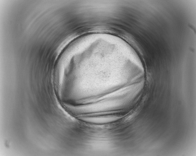 X0000102310855200808152039