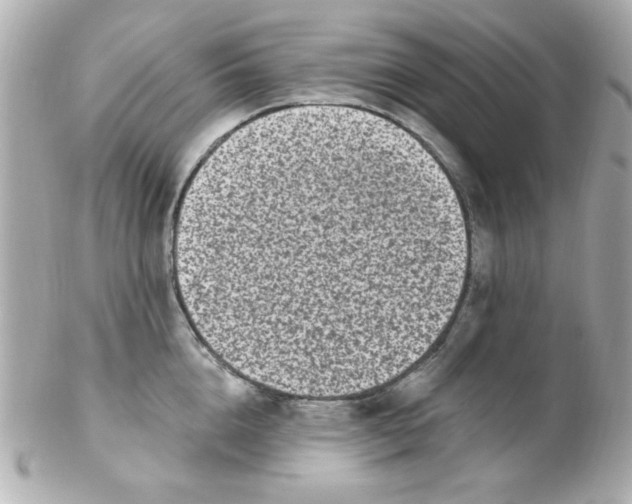 X0000102310856200808152039