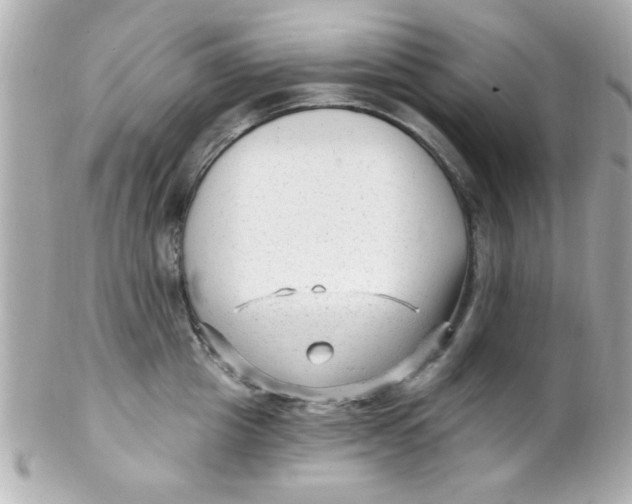 X0000102310857200808152039