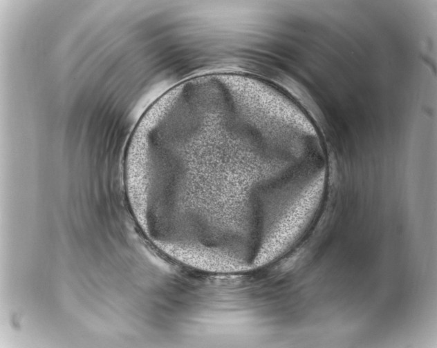 X0000102310858200808152039