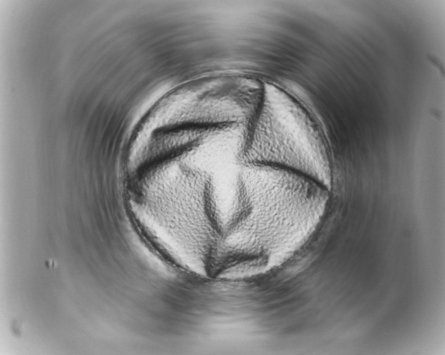 X0000102310859200808152039