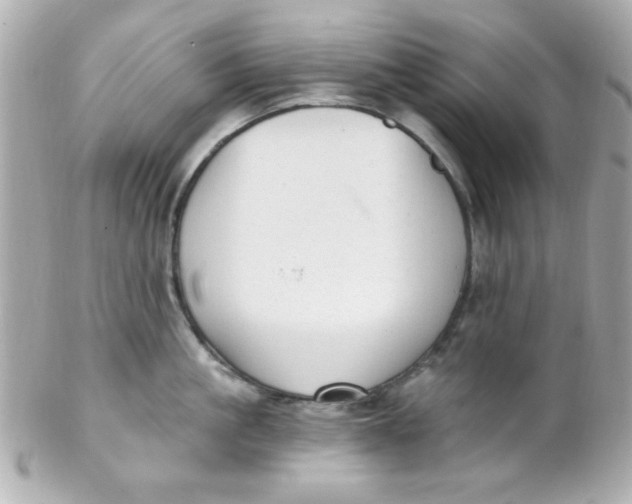 X0000102310861200808152039