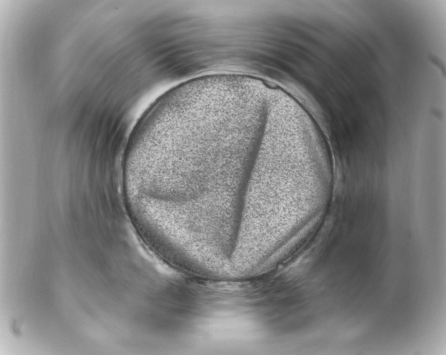 X0000102310862200808152039