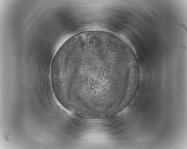 X0000102310863200808152039