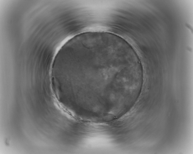 X0000102310864200808152039