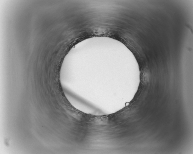 X0000102310865200808152039